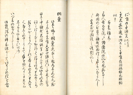 弄花抄