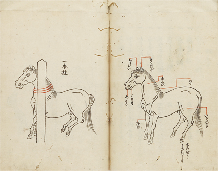大坪流騎方絵図