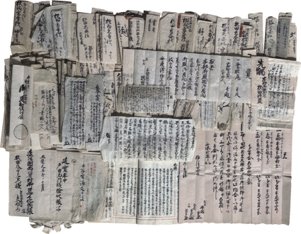 近江国野洲郡 南蛮流外科医　杉田意益文書