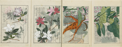 本草図譜 毒草・蔓草部
