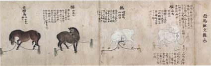 百馬図験秘録一覧