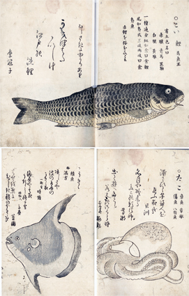 海の幸