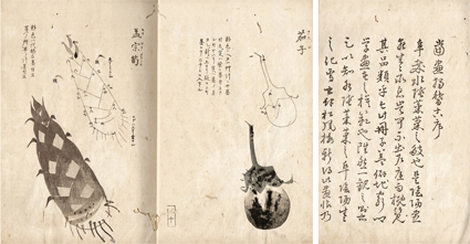 当画独稽古