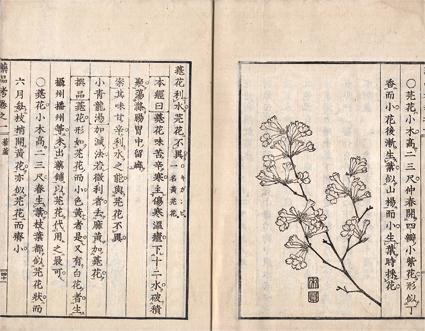 古方薬品考