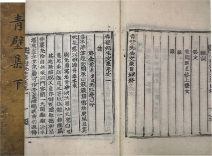 青壁先生文集