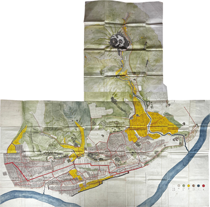 駿河国庵原郡 岩淵村絵図