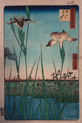 名所江戸百景 堀切の花菖蒲