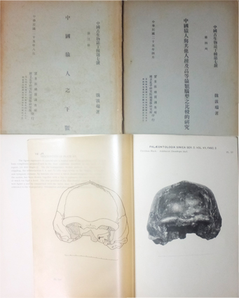 中国猿人北京種頭蓋骨研究