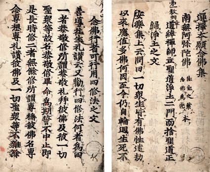 選択本願念仏集