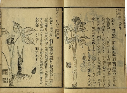 草木性譜・有毒草木図説