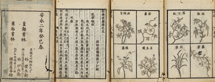 秘伝花鏡