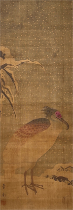 朱鷺図